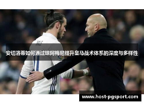 安切洛蒂如何通过琼阿梅尼提升皇马战术体系的深度与多样性